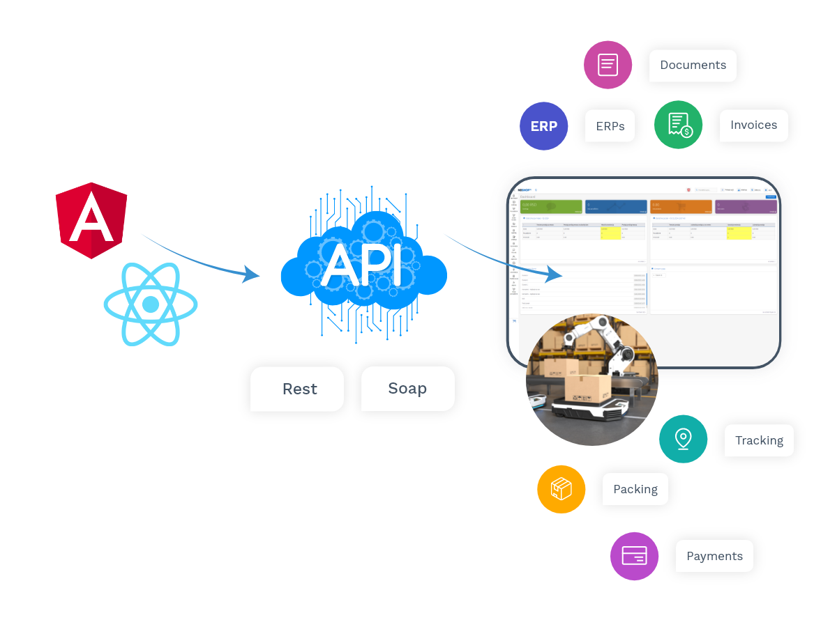 Integracija sa eCommerce platformama i WMS sistemima